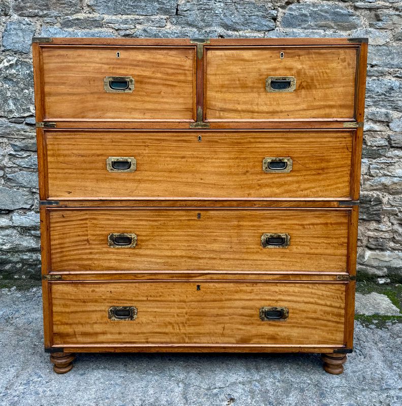 Victorian Camphor Wood Military Chest of Drawers
