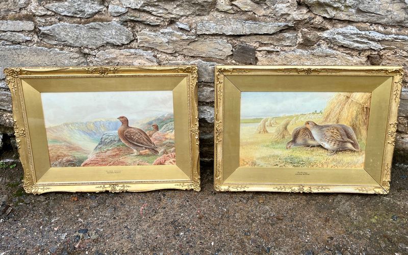 Pair of Watercolours of Game Birds by George Rankin