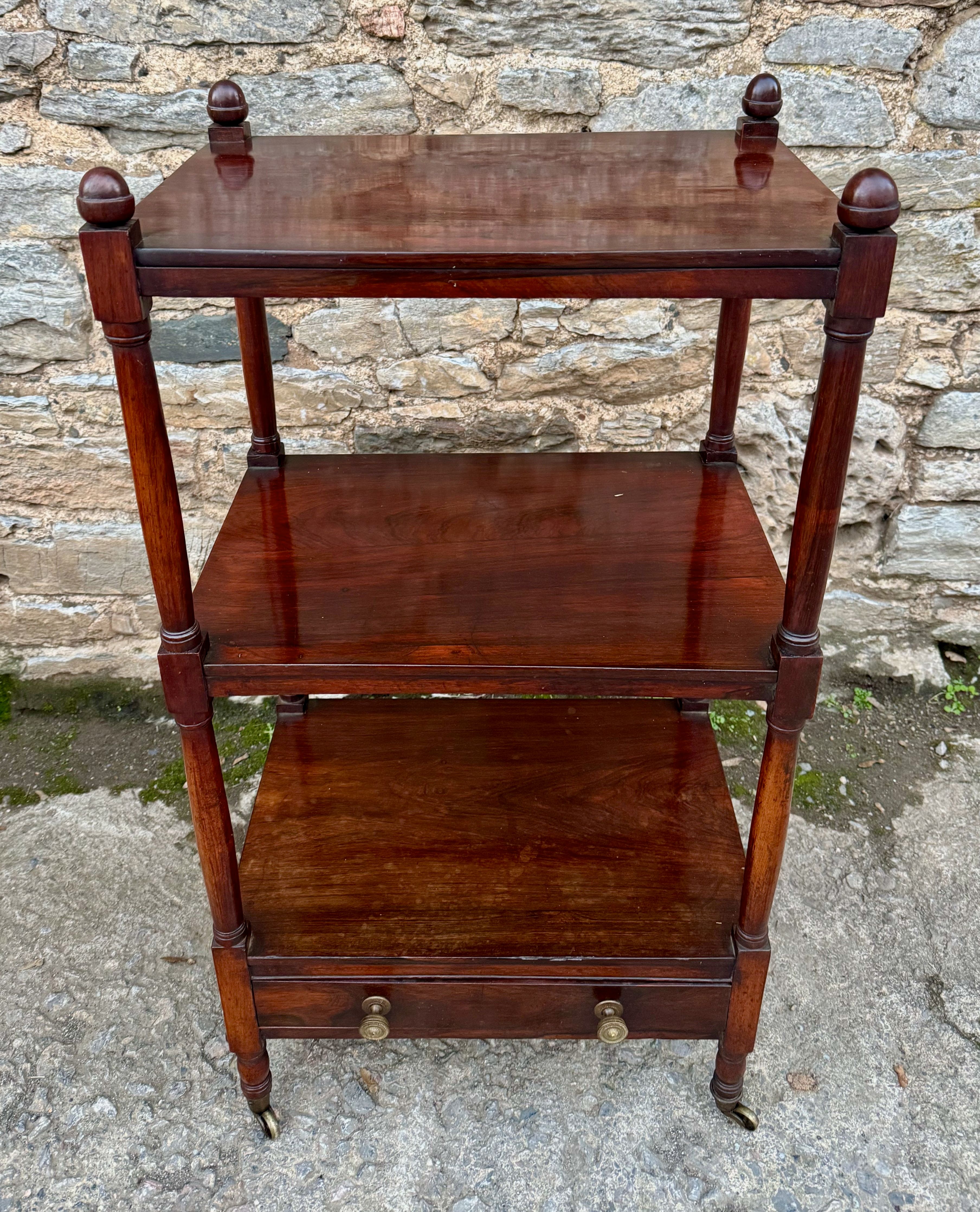 Regency Rosewood Whatnot