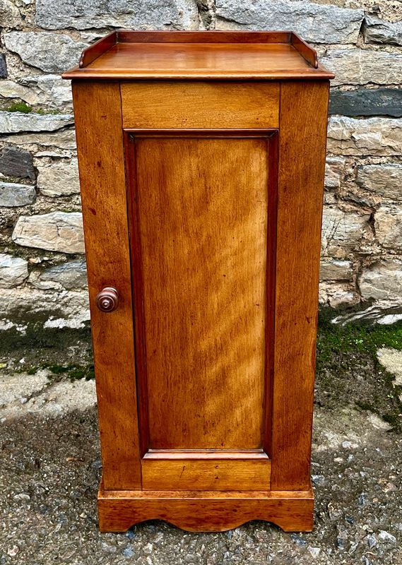 Victorian Mahogany Pot Cupboard