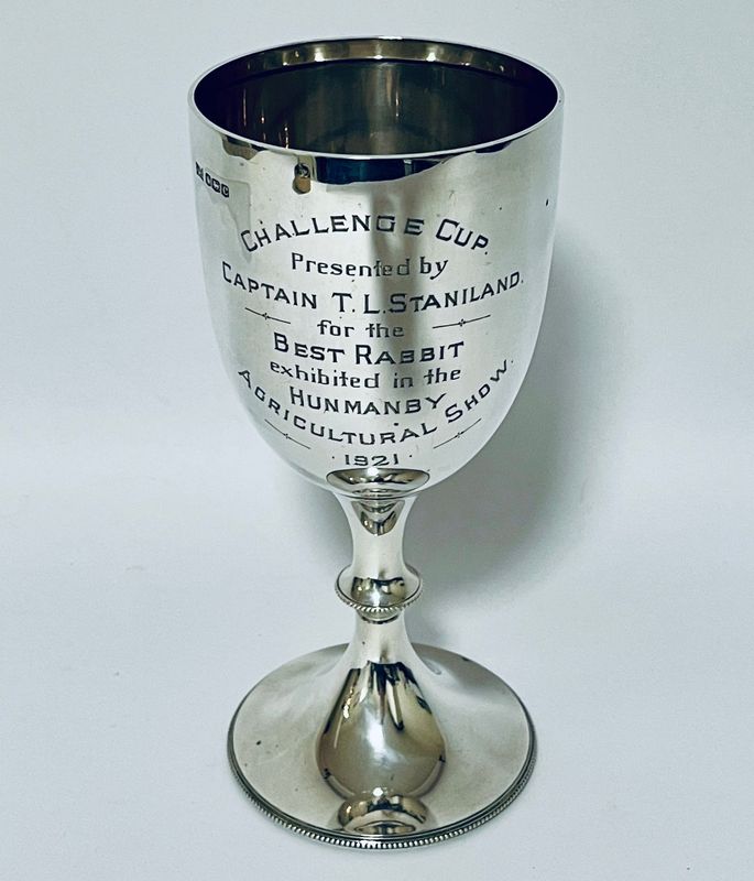 Antique Silver Trophy Cup