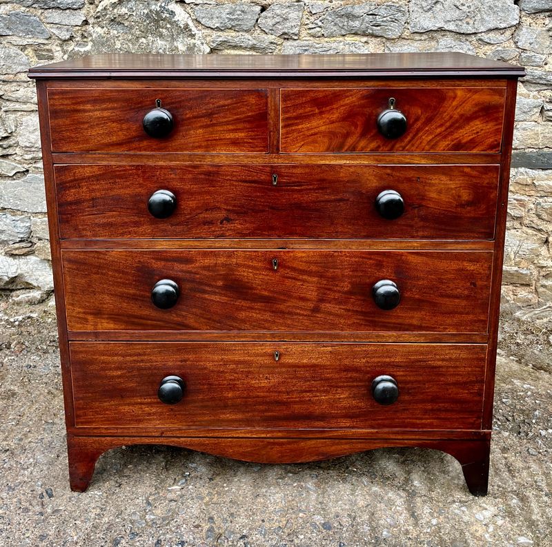 Regency Mahogany Chest of Drawers