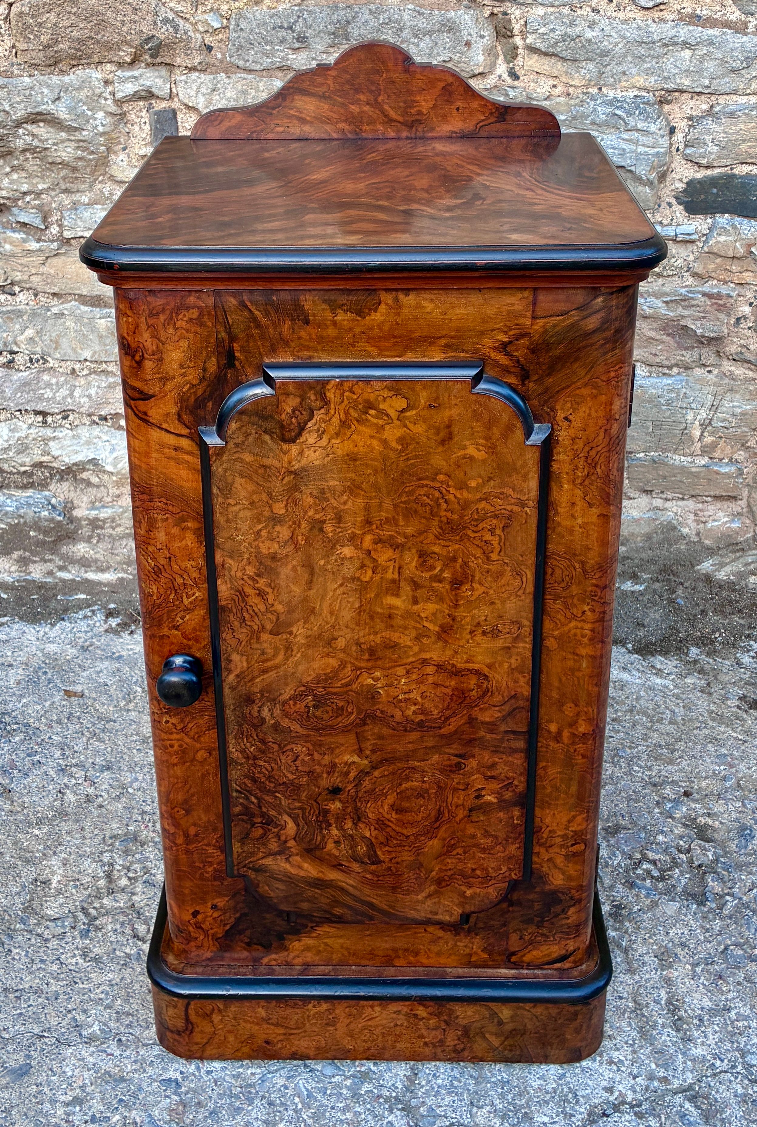 Victorian Burr Walnut Pot Cupboard