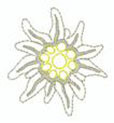 Urchiges