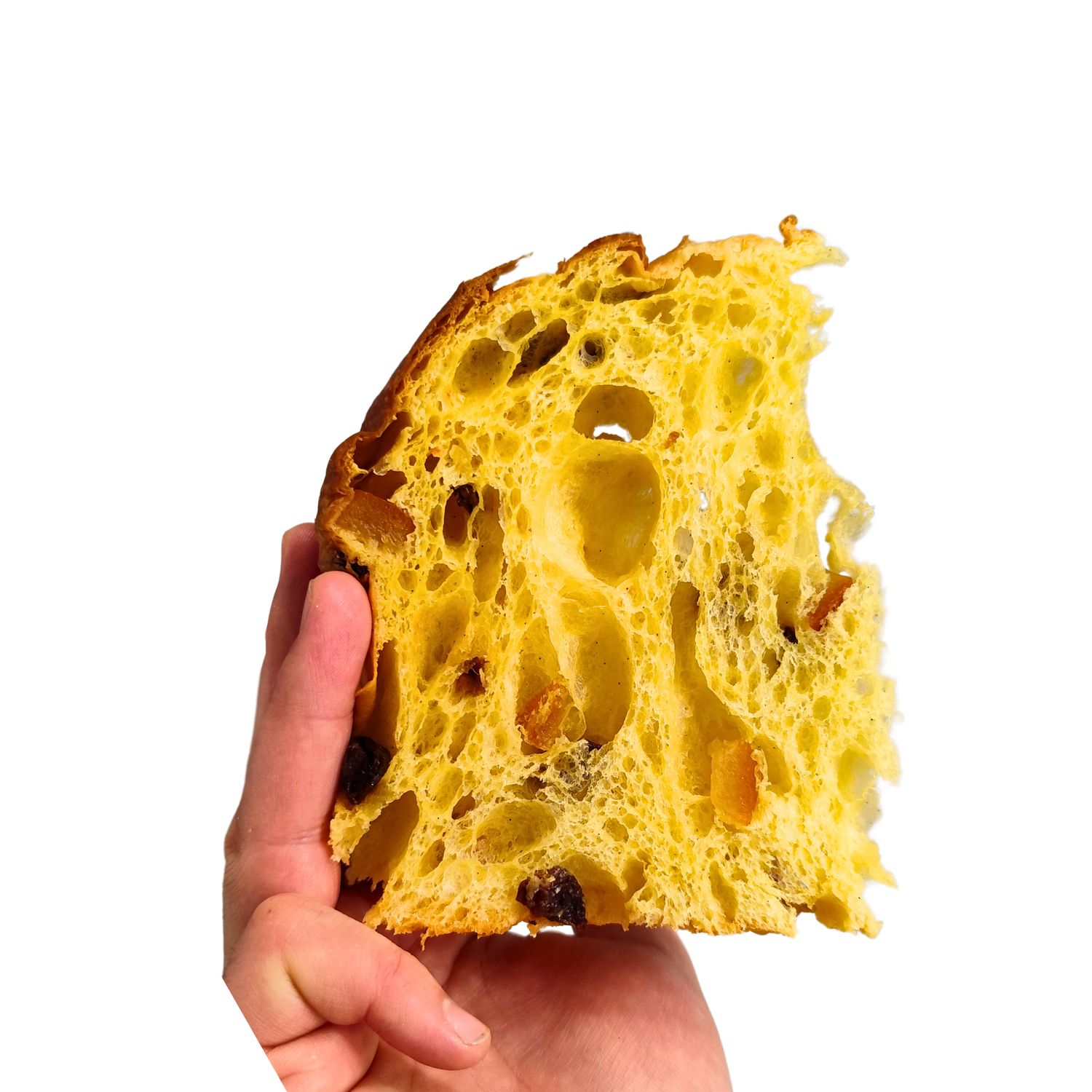 Panettone Tradizionale Panettone Tradizionale