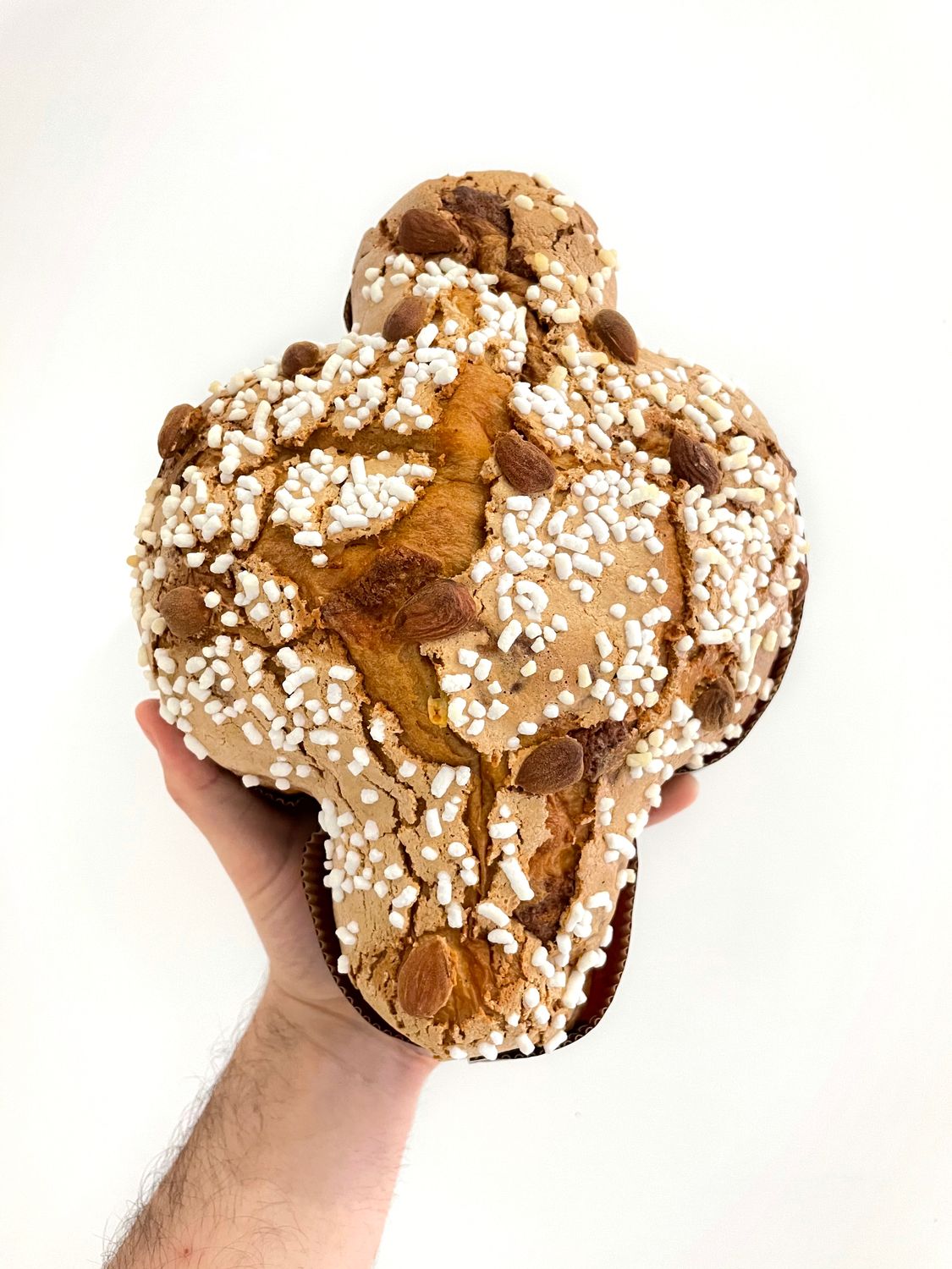 Colomba Cioccolato e Frutti Rossi