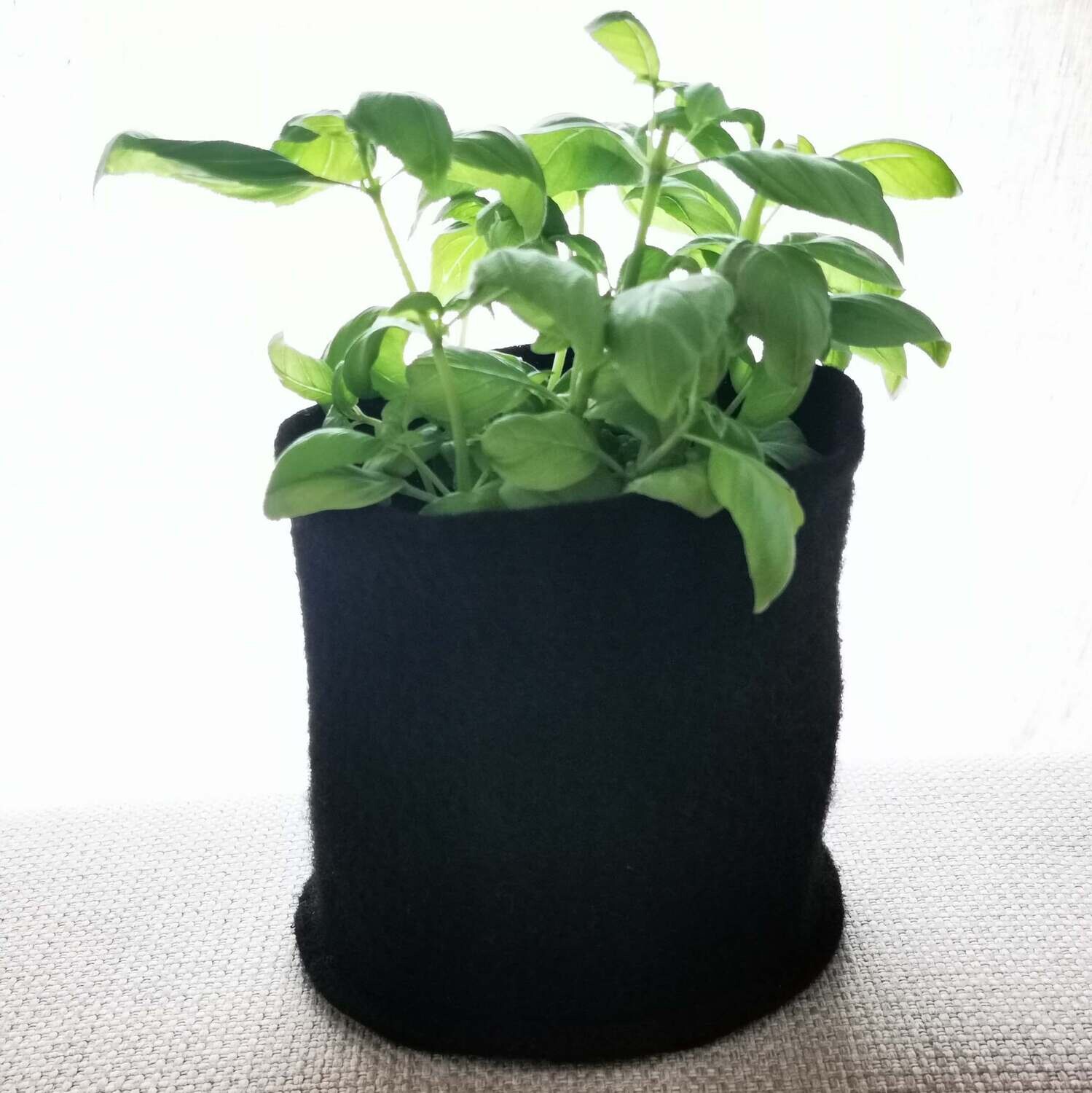 Huopakori, ruukunsuojus, säilytyskori