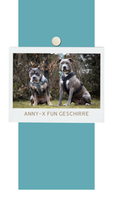 Anny-X Geschirre