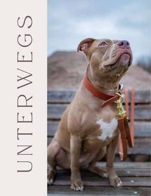 Unterwegs mit Hund