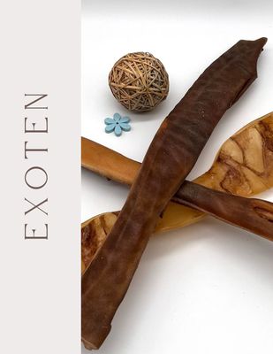 Exoten