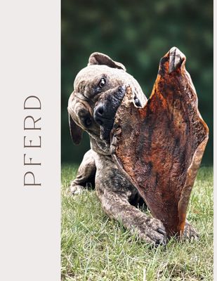 Pferd