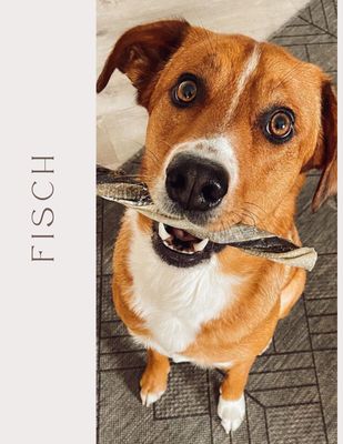 Fisch
