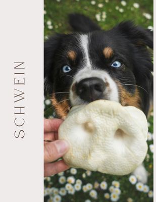 Schwein