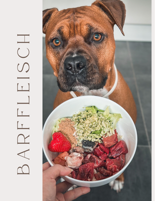 Barf Fleisch (KEIN VERSAND, NUR ABHOLUNG)