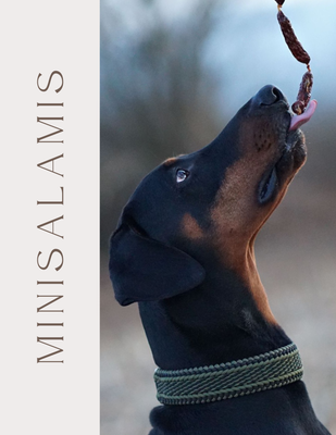 Minisalamis
