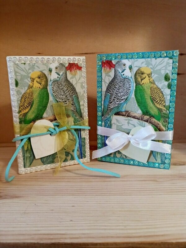 Geschenk-Box
Wellensittiche