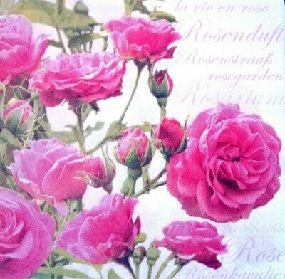 Serviette Rosen pink
nur für Sonderanfertigung/Windlicht-laminiert