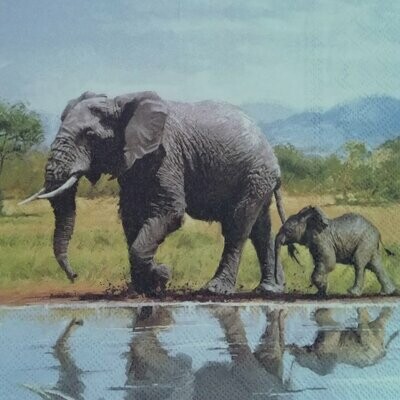 Serviette Elefanten am Wasser
nur für Sonderanfertigung/Windlicht-laminiert