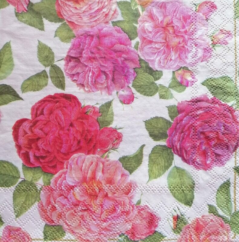 Serviette bunte rose`Rosen
nur für Sonderanfertigung/Windlicht-laminiert