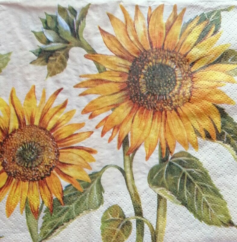 Serviette Sonnenblumen
nur für Sonderanfertigung/Windlicht-laminiert
