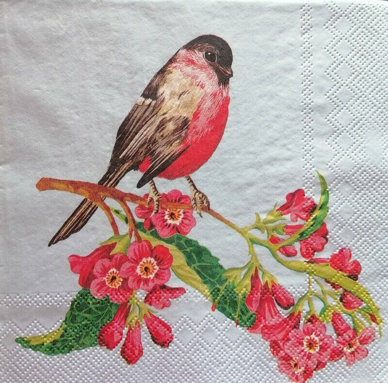 Serviette Vogel auf Zweig
nur für Sonderanfertigung/Windlicht-laminiert
