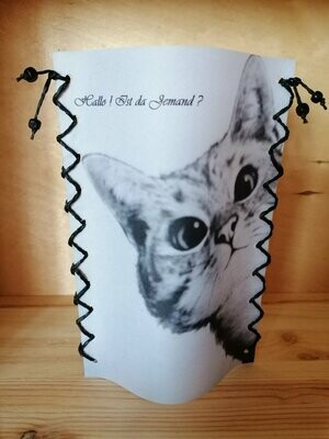 Windlicht-Papier
Katze mit Spruch