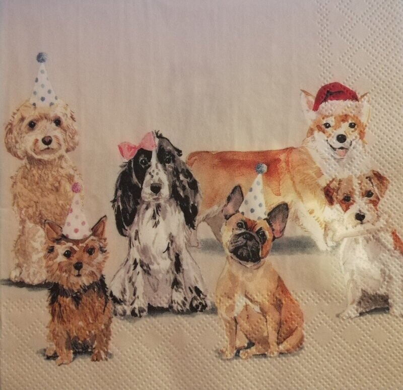 Serviette Weihnachten Hunde
nur für Sonderanfertigung/Windlicht-laminiert