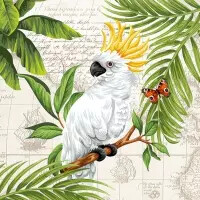 Servietten 33x33 cm - Cockatoo (5 Stück)