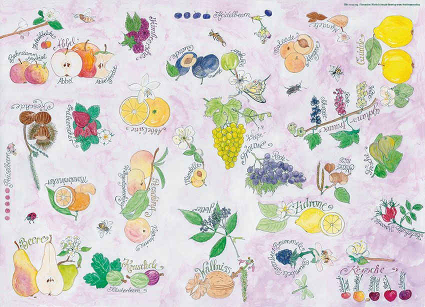 Geschenkpapier "Obst"