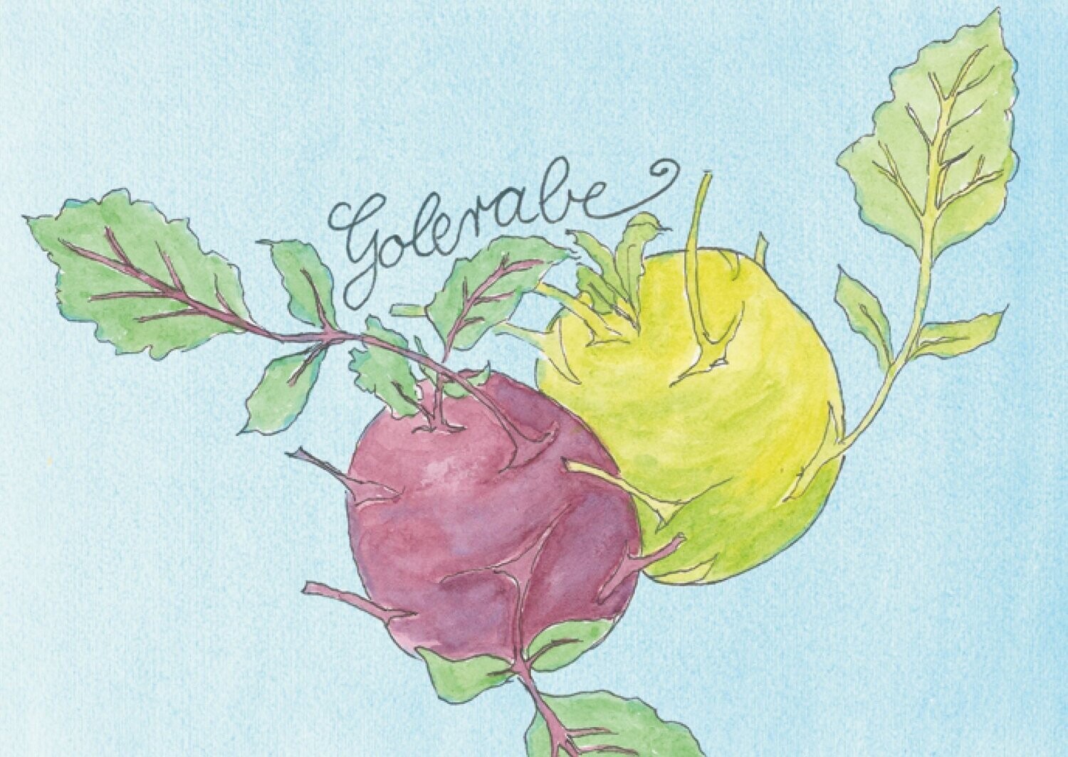 Postkarte: Postkarte: "Golerabe"