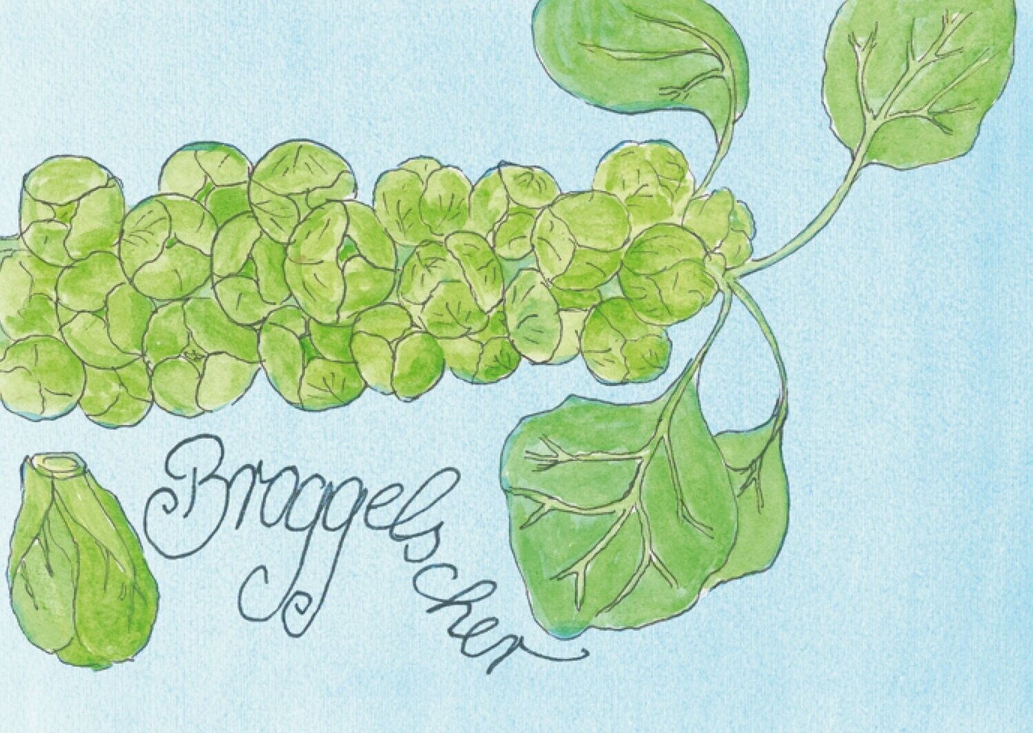 Postkarte: "Broggelscher"