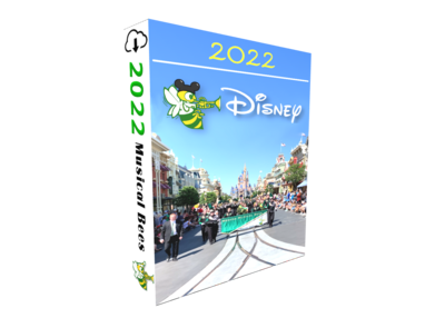 2022 Disney Trip Collection