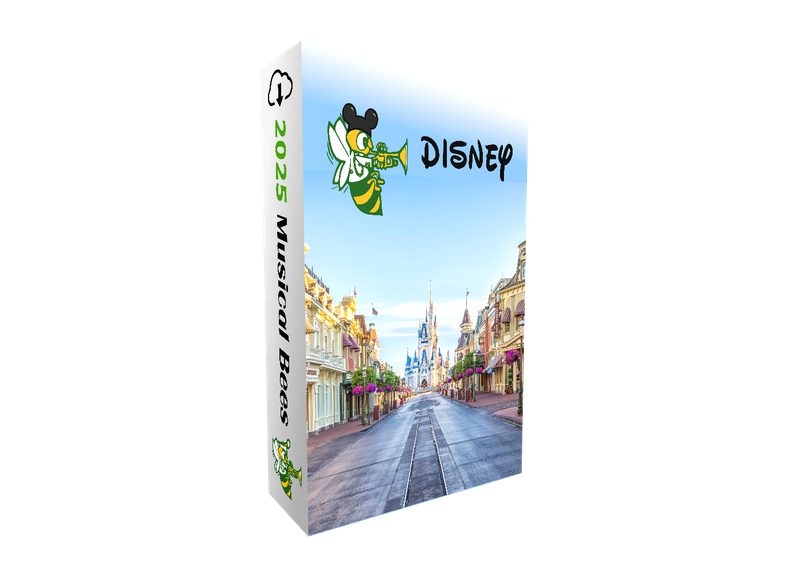 2025 Disney Trip Package