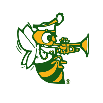 Medina Band Show