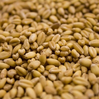Rahr Unmalted Wheat lb