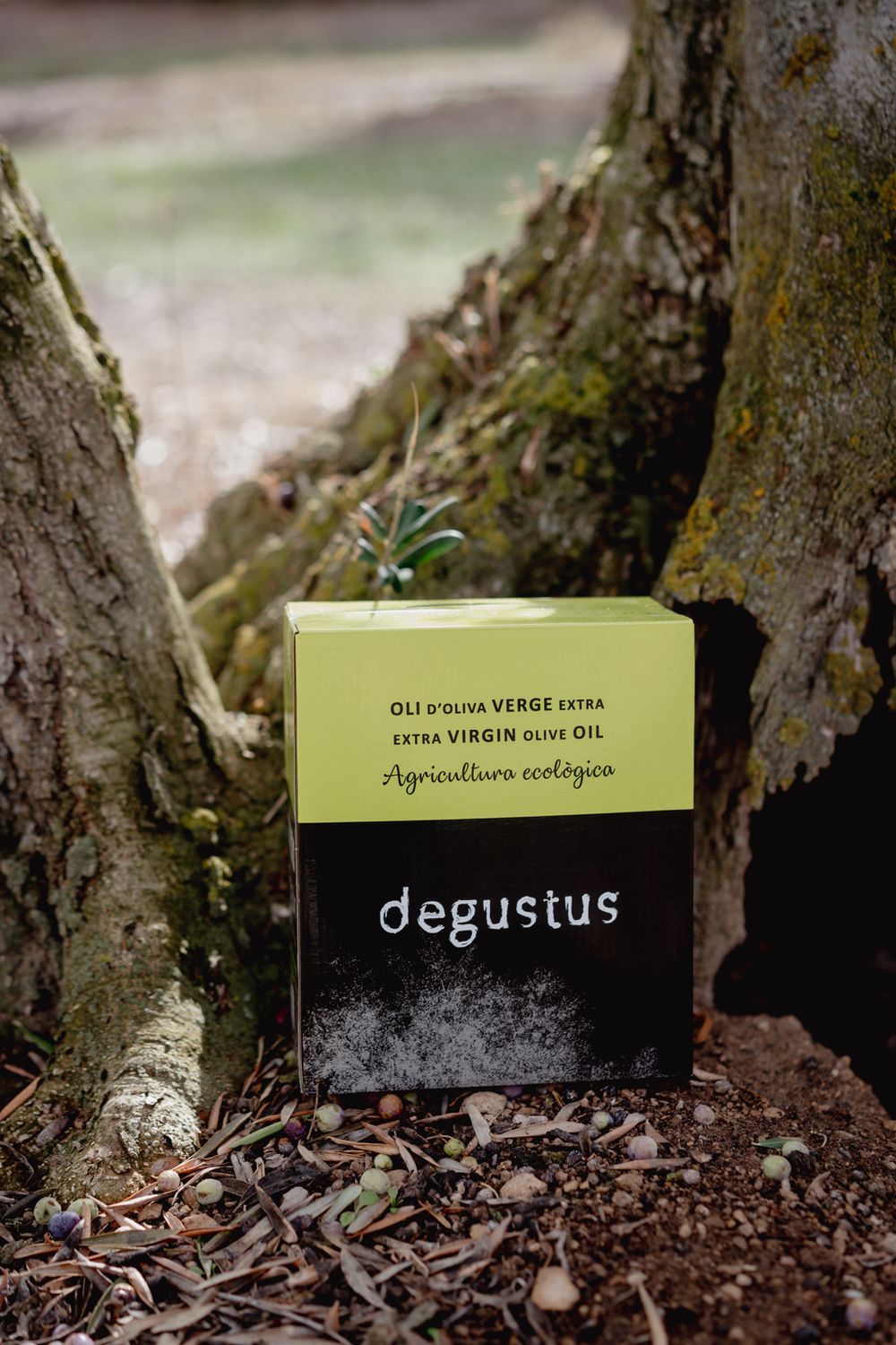 3L Organic Extra Virgin Olive Oil