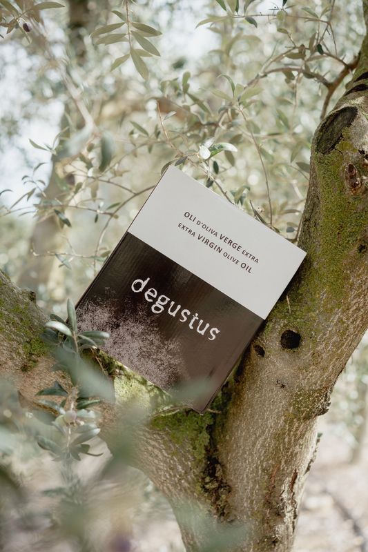 3L Huile d'Olive Vierge Extra