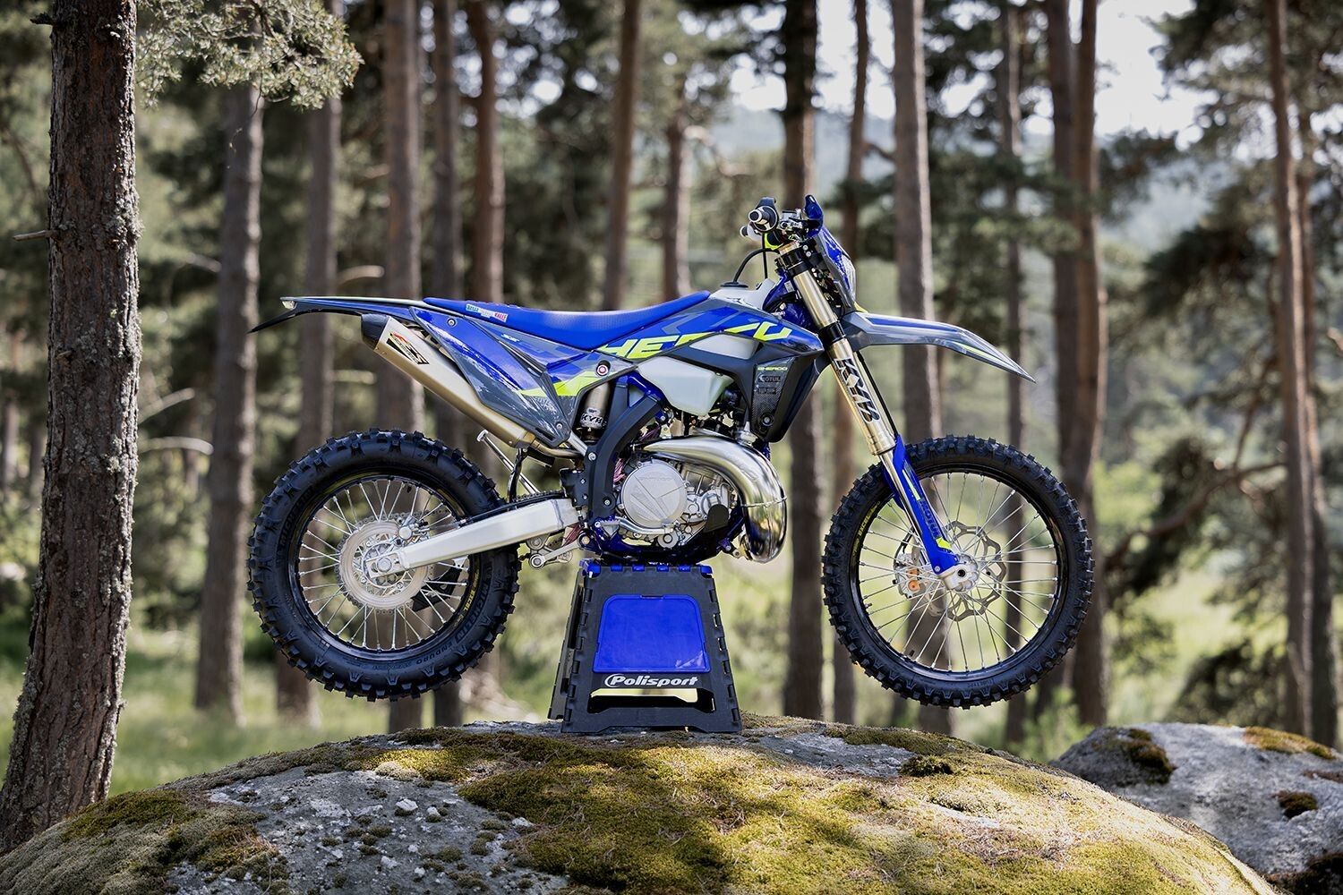 300 SE FACTORY 2024