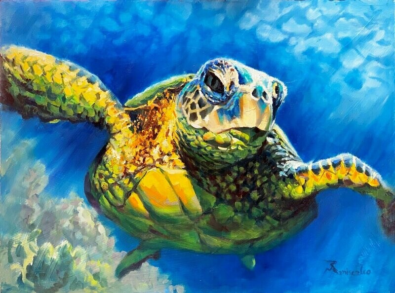 Sea Turtle" by Rob Maniscalco