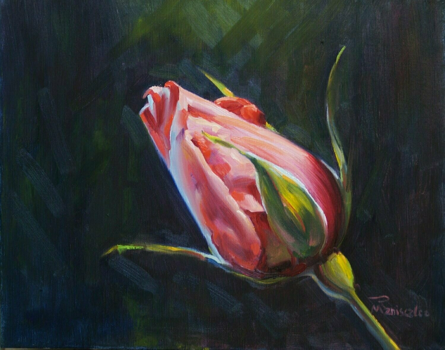 "Rosebud" by Rob Maniscalco