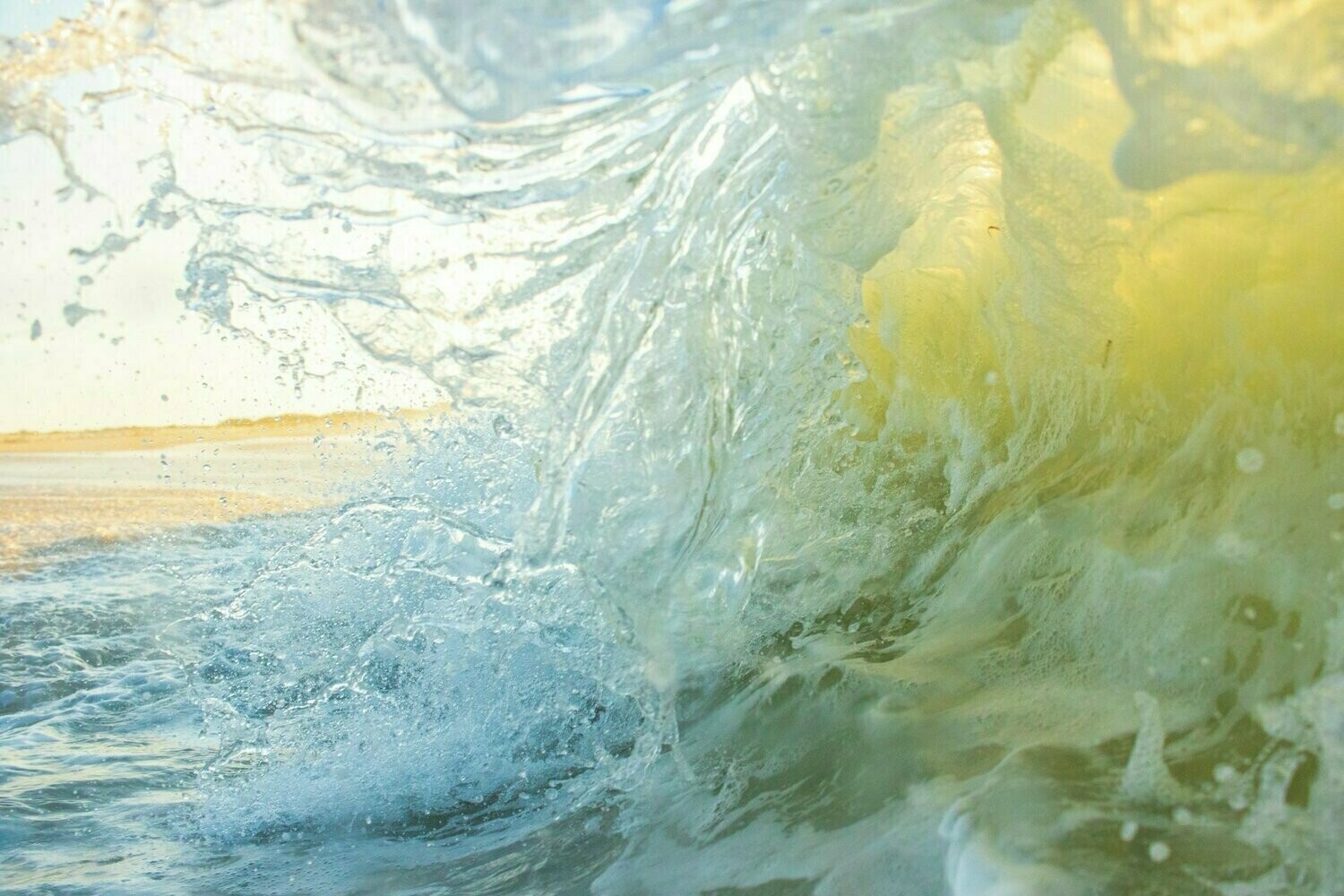 "Froth Monsters" by Drew Fleet