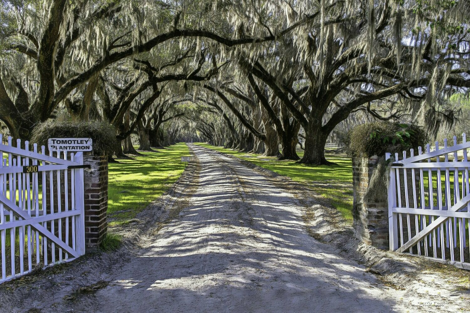 Tomatley Plantation