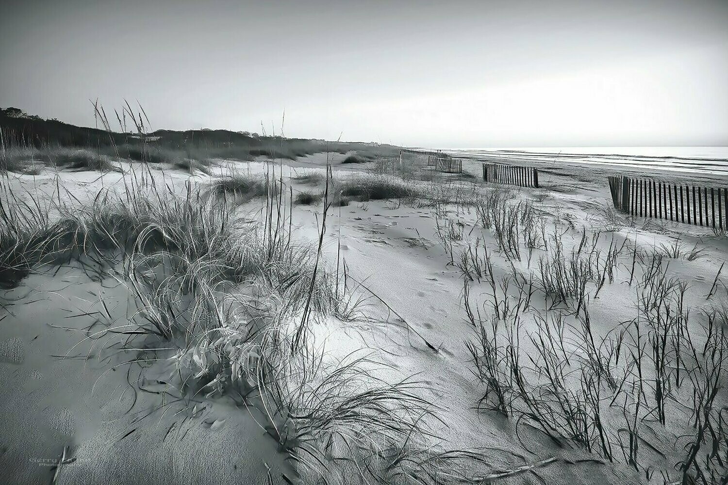 Hilton Head Solitude