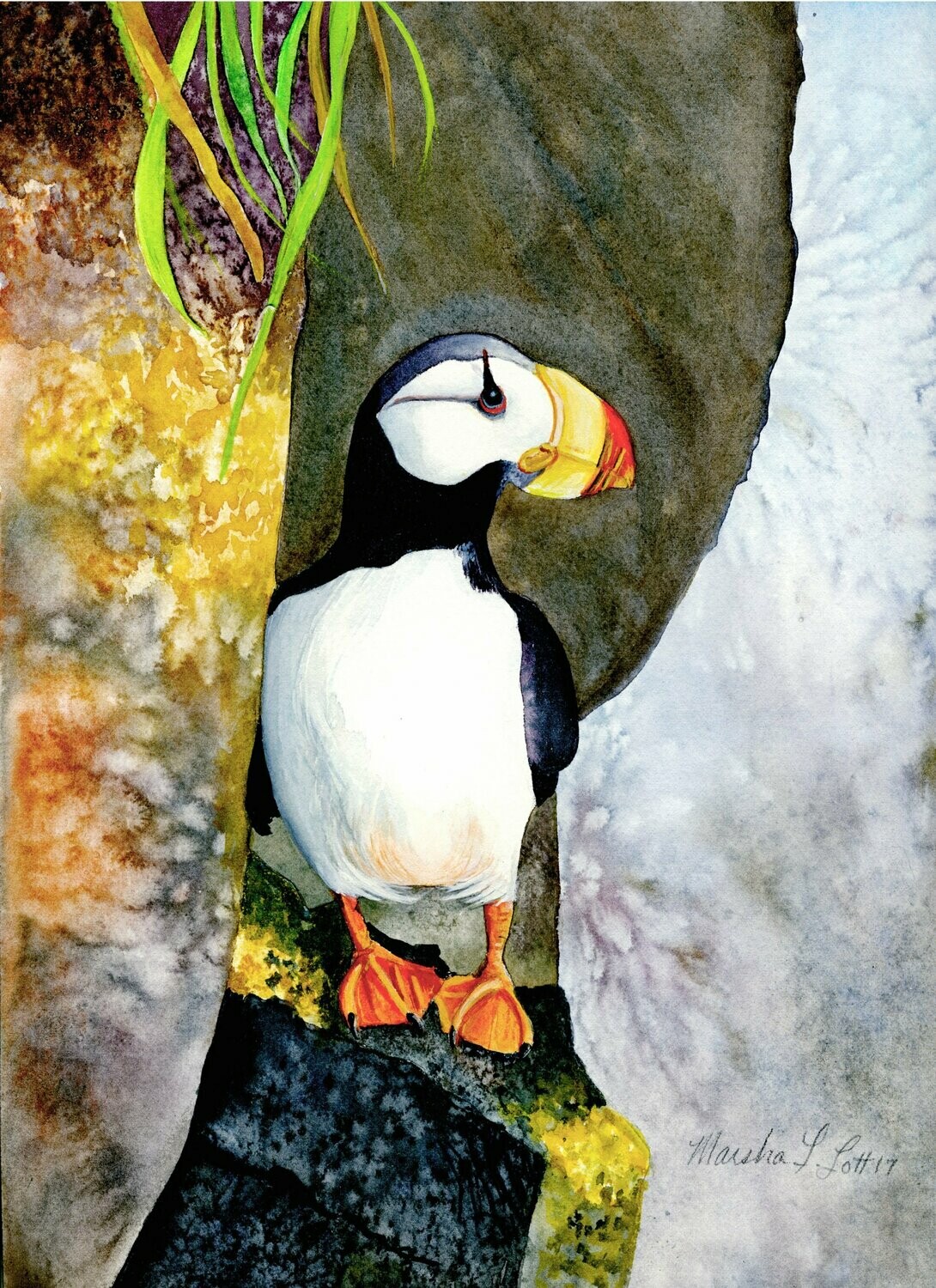 "Horned Puffin"
