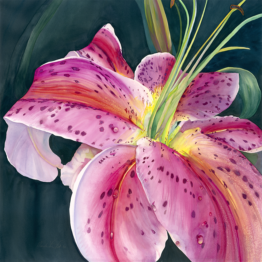 "Stargazer Lily"