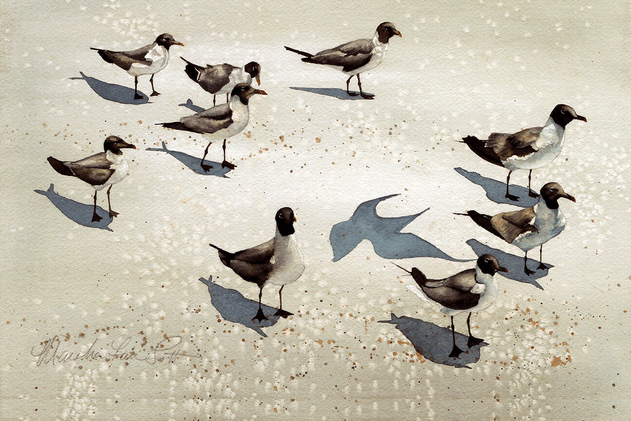 "Gulls on Beach"