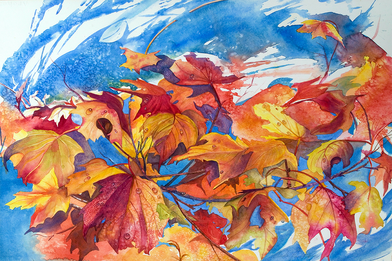 "Maple leaves blowing in the wind"