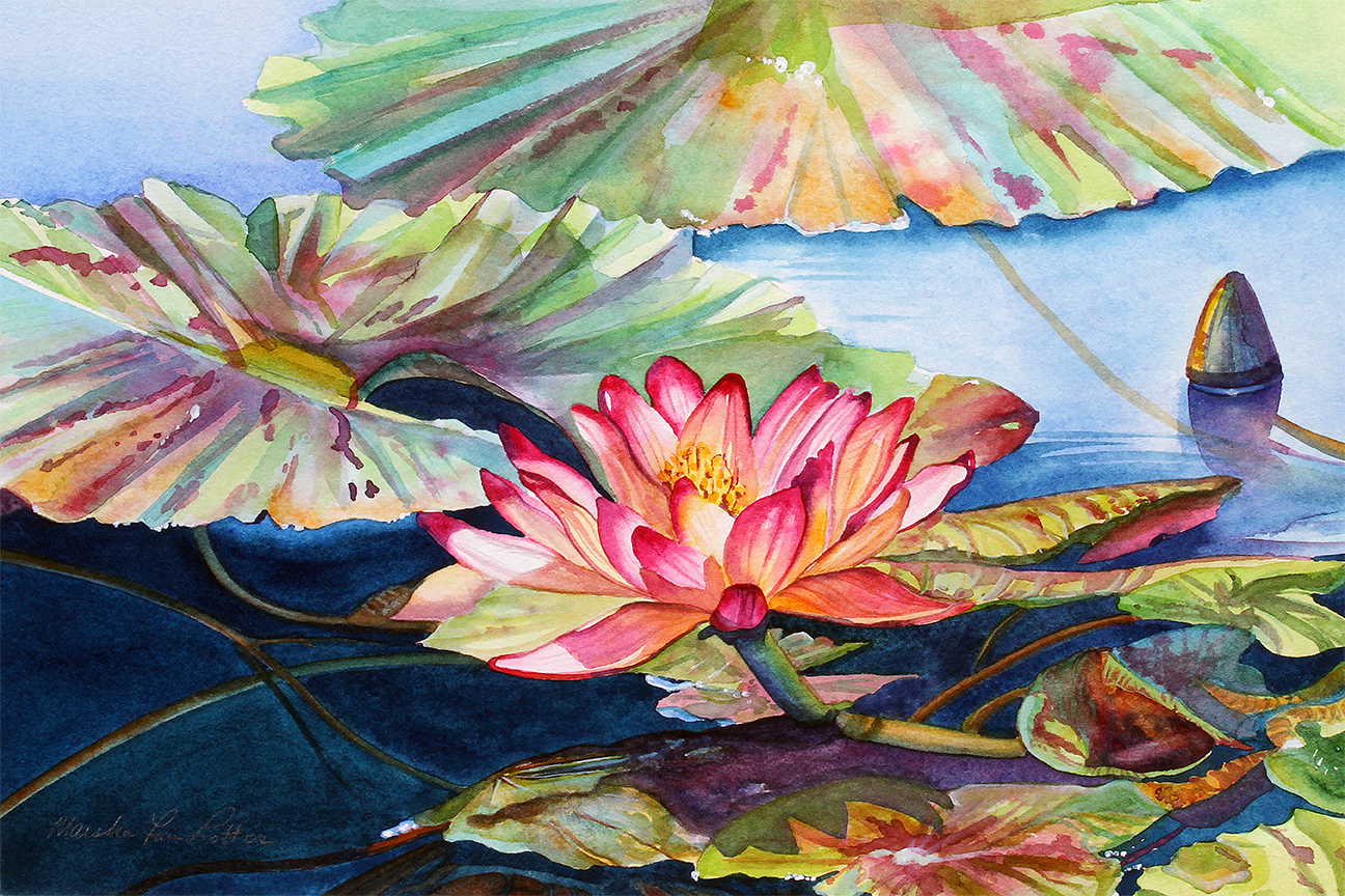 "Waterlily in the Sun"