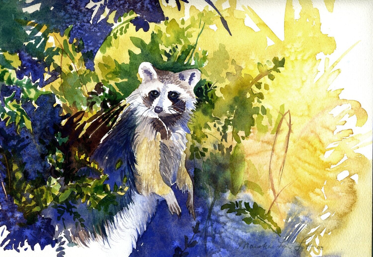 "Curious Bandit"