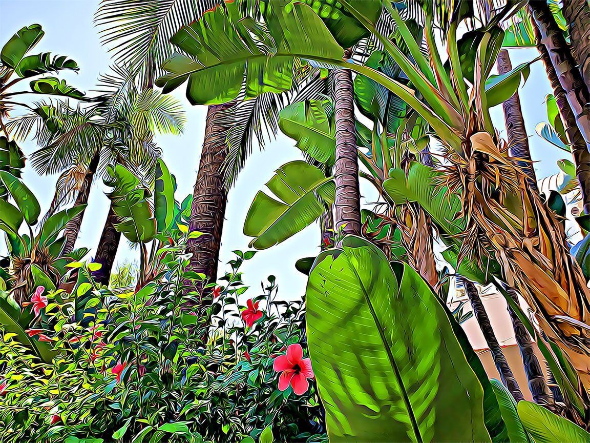 "Garden of Eden" by David Johnson